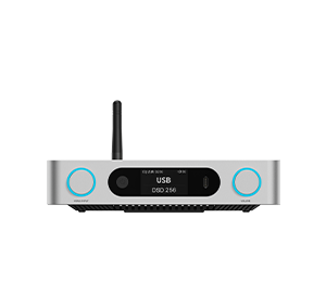 FiiO BR15 R2R
