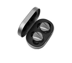 FiiO www.fiio.com