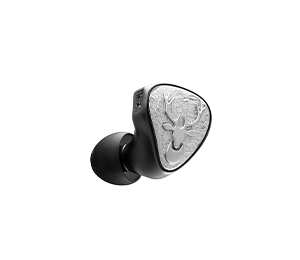 FiiO www.fiio.com