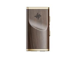 FiiO Decoding and Headphone Power Amplifiers-MELODY