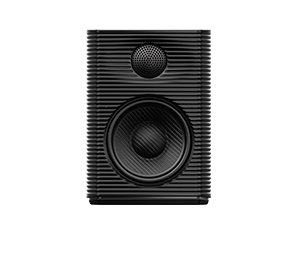 FiiO www.fiio.com